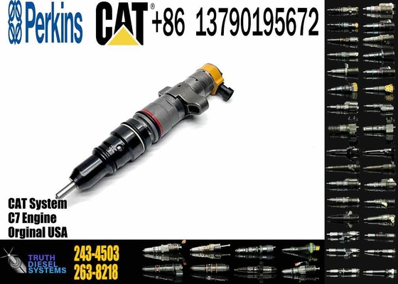 Diesel Injector for C7 Caterpillar Series Generator Parts & Accessories 387-9429 295-1409 243-4503 328-2584 10R-4762 20R-8058
