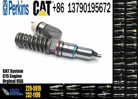 10R-1000 10R1000 229-5919 Fuel Injector for Caterpillar CAT