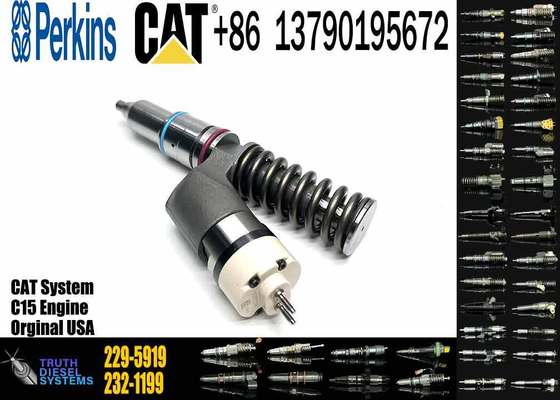 10R-1000 10R1000 229-5919 Fuel Injector for Caterpillar CAT