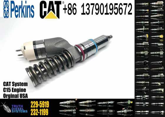 10R-1000 10R1000 229-5919 Fuel Injector for Caterpillar CAT