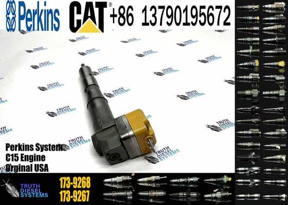 Wholesale Fuel Injector 222-5967 173-4059 196-1401 173-9267 1961401 1739267 for 3126 3126B 3126E More Series in Good Service
