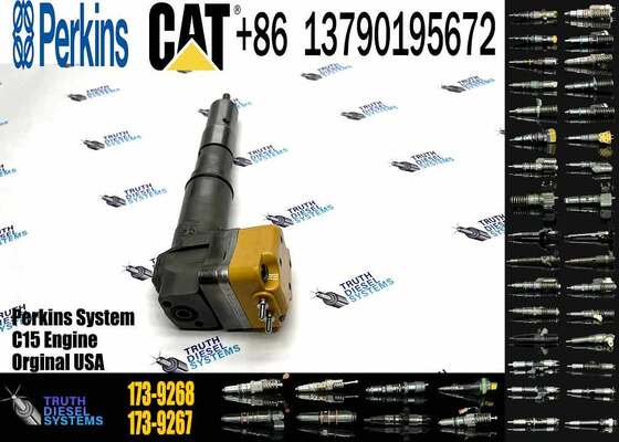 Wholesale Fuel Injector 222-5967 173-4059 196-1401 173-9267 1961401 1739267 for 3126 3126B 3126E More Series in Good Service
