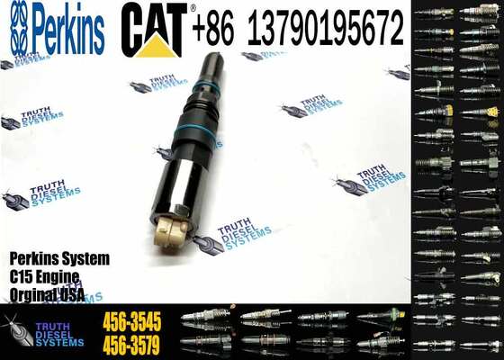 Engine Fuel Injector Gp-Fuel 456-3545 4563545 20R5078 20R-5078 for Caterpillar Excavator