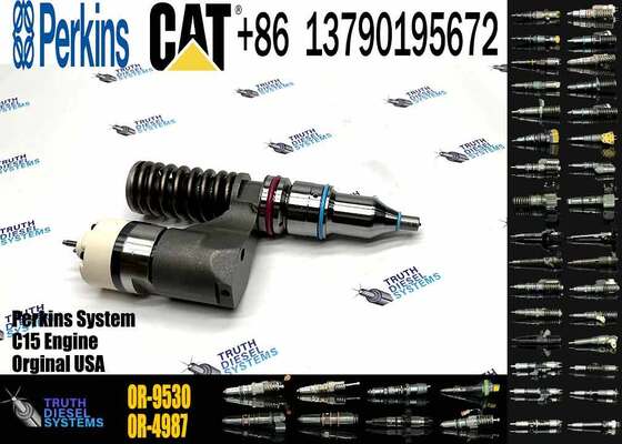 10R-0960 10R0960 1660149 166-0149 Fuel Injector for CAT C10 C12 3176 3196 C-12 Engine 194-5083 OR-9530 20R-1264 20R-1265