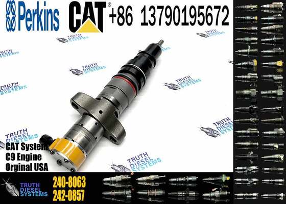 Excavator Accessories Fuel Injector 225-0117 236-0957 238-8092 240-8063 242-0857 245-3516 for CAT C9 Construction Machinery