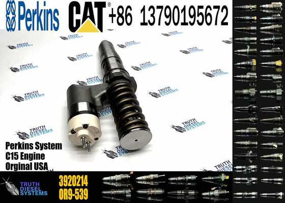 CAT Diesel Engine 3406 Fuel Injector 317-5278 3920214 392-0214 392-0206 3920206 249-0746